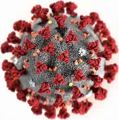 gripe espanhola, covid-19, coronavirus, epidemia, pandemia, gripe, Brasil