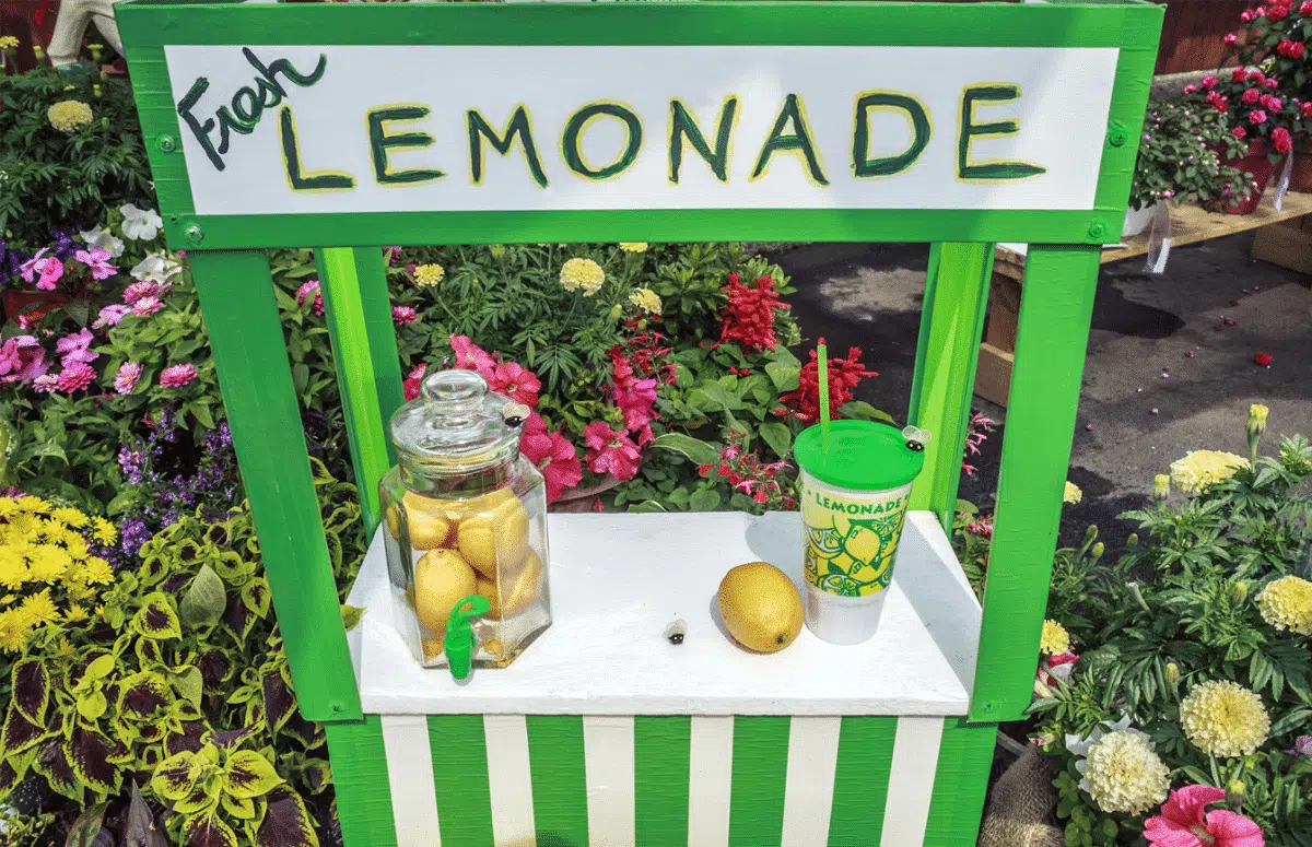 Economia 101 com a barraquinha de limonada