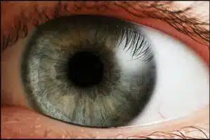 Se Os Olhos São O Espelho da Alma, O Que Dizer das Pupilas?